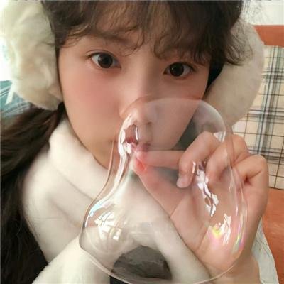 冬之蝉
